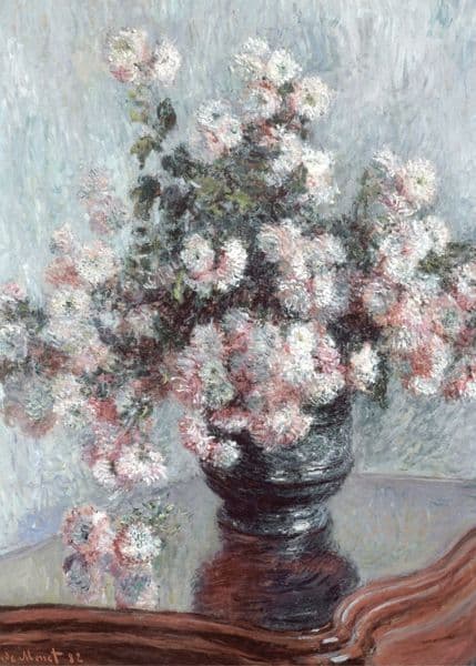 Asters i mørk vase