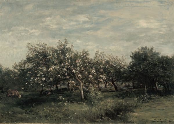 Blomstrende frukthage