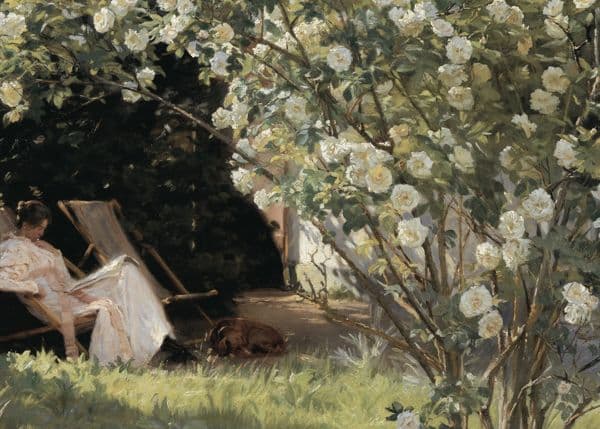 Lesing under blomstrende busk