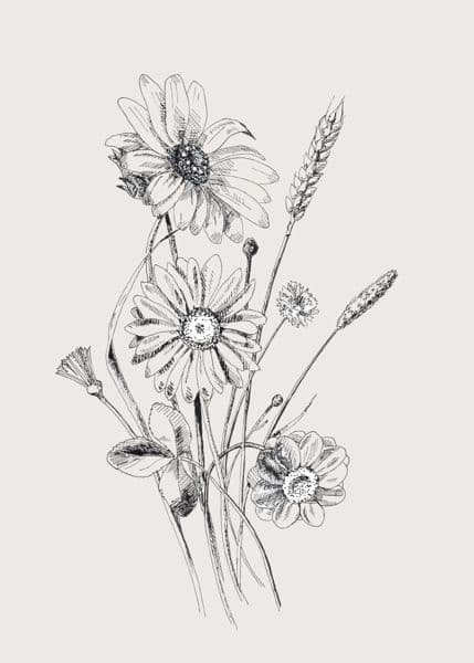 Markblomster og hvete