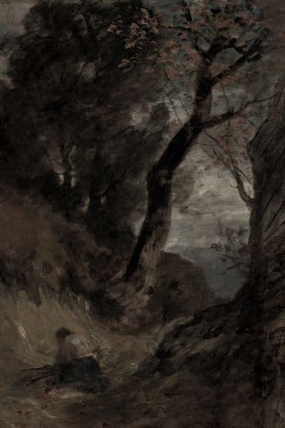 Mørk skog med vandrer