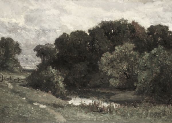 Skogkant under gråvær