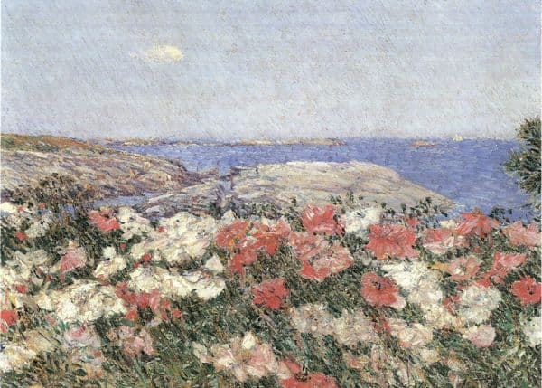 Valmuer ved kysten
