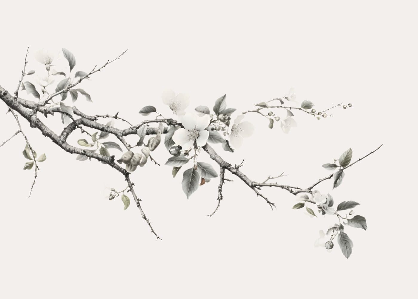 Blomstrende gren i tusj, hele motivet