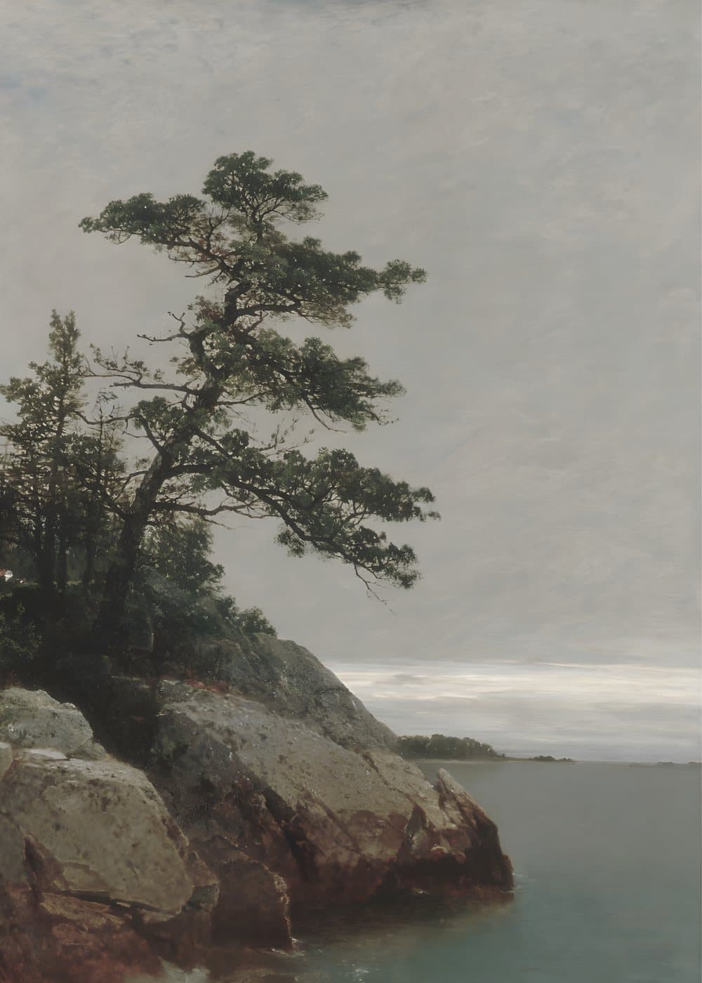 Furu på klippen, hele motivet