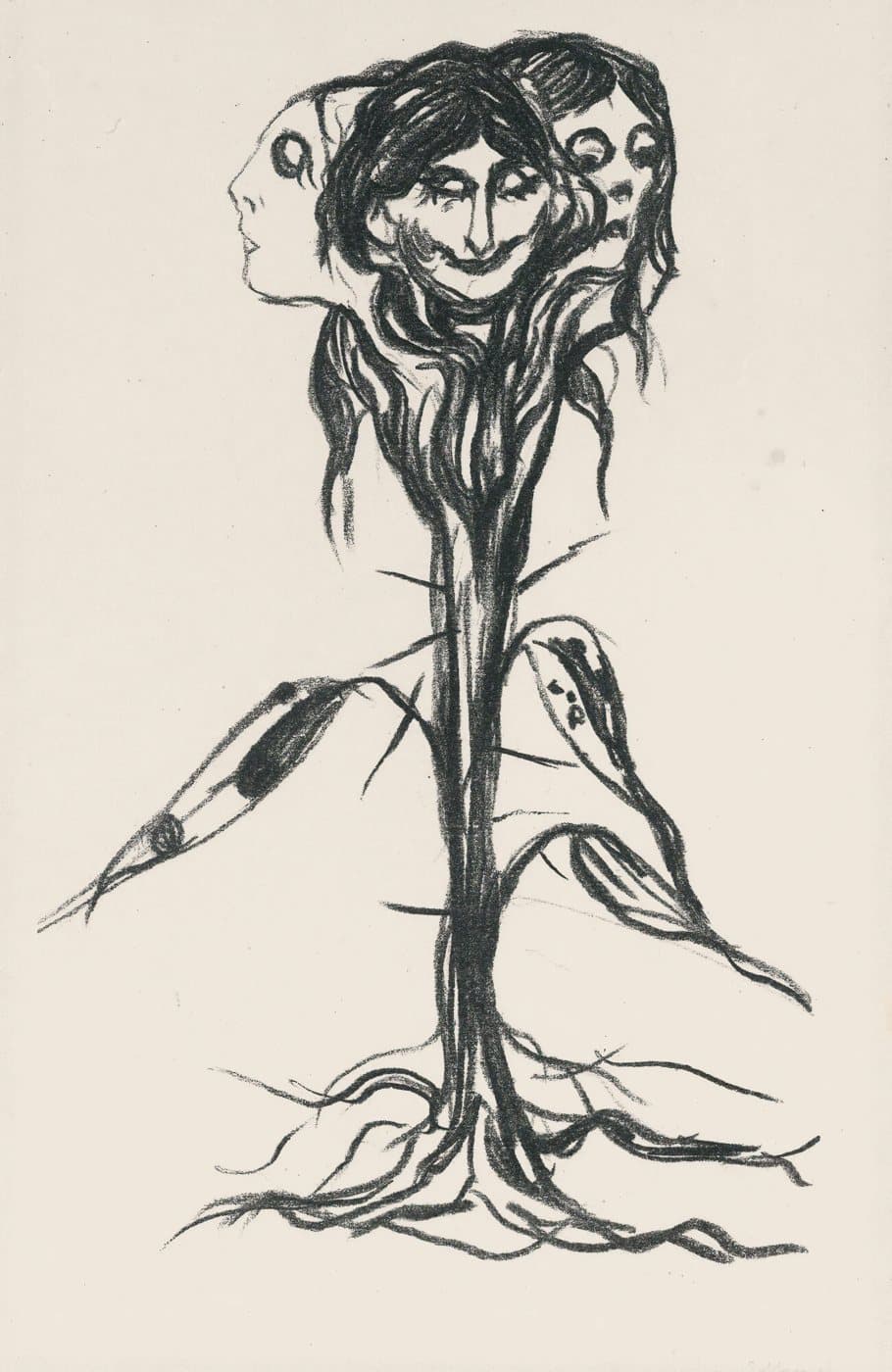 Vignett, amaryllis (1908) av Edvard Munch, hele motivet